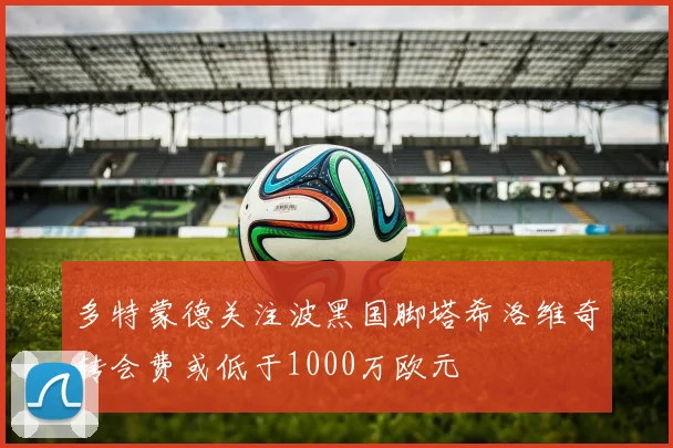 多特蒙德关注波黑国脚塔希洛维奇转会费或低于1000万欧元