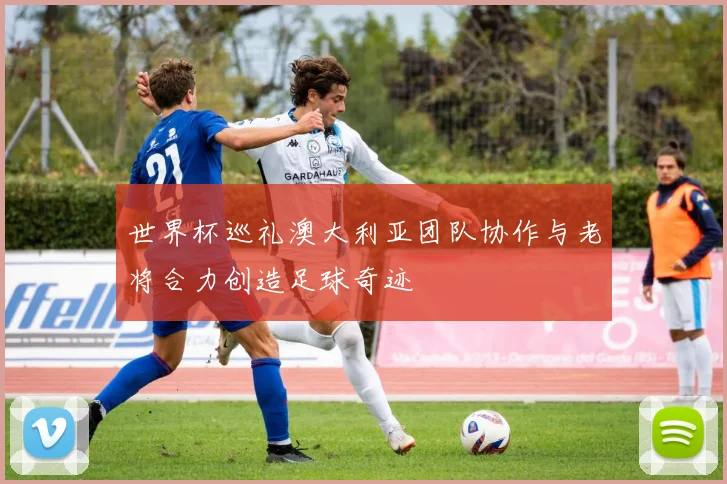 世界杯巡礼澳大利亚团队协作与老将合力创造足球奇迹