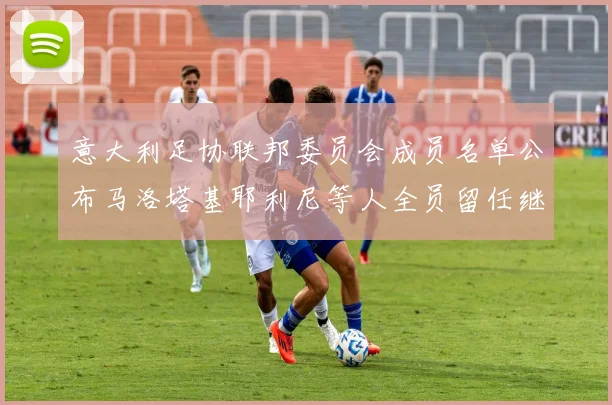 意大利足协联邦委员会成员名单公布马洛塔基耶利尼等人全员留任继续服务