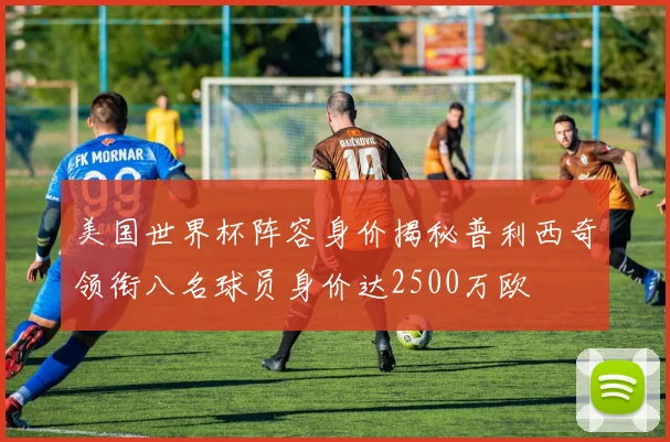 美国世界杯阵容身价揭秘普利西奇领衔八名球员身价达2500万欧